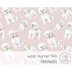 Parawan Bichon Frise