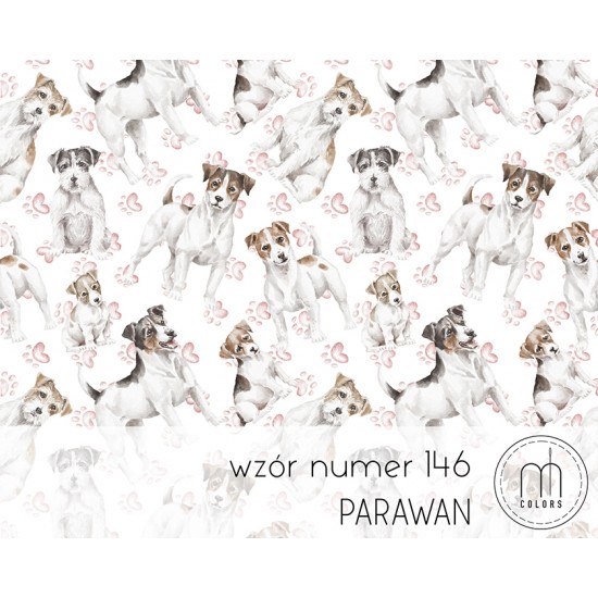 Parawan Jack Russel