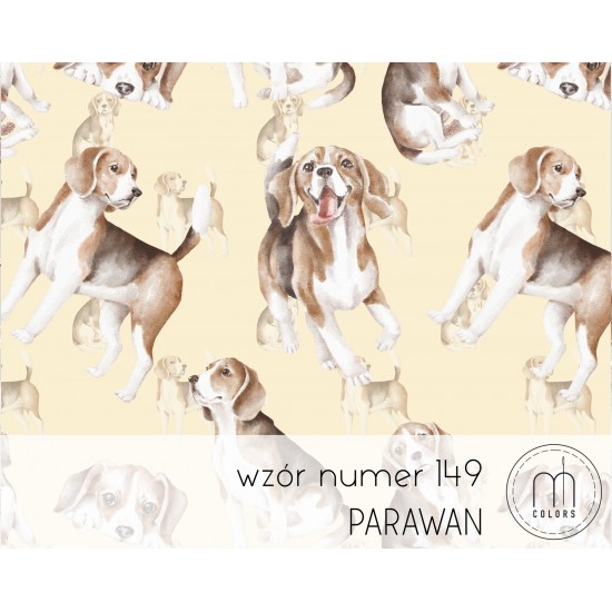 Parawan Beagle