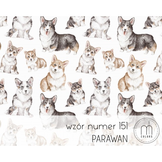 Parawan Corgi