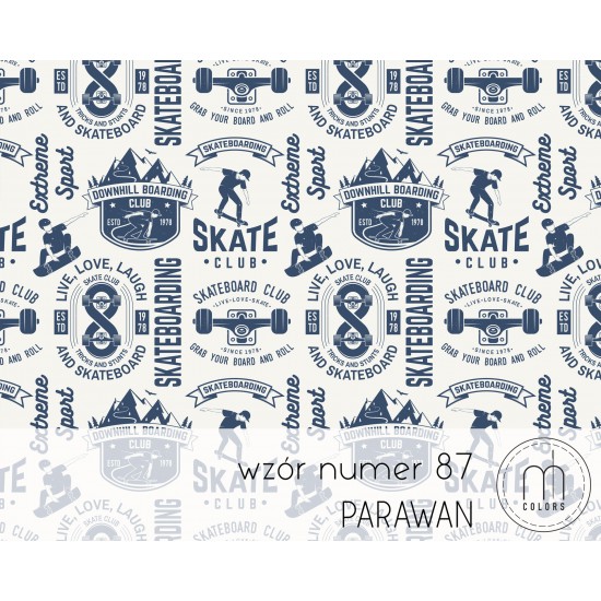 Parawan Skateboarding