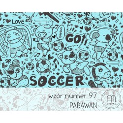 Parawan Soccer