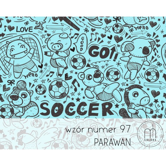 Parawan Soccer